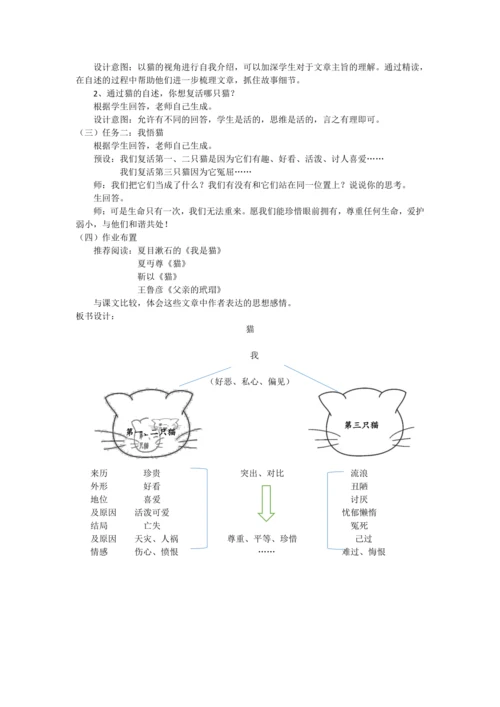 《猫》教案