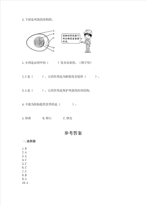 教科版三年级下册科学 期末测试卷及答案参考