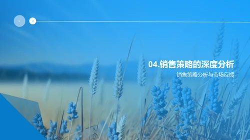 农产品销售策略盘点