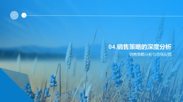 农产品销售策略盘点