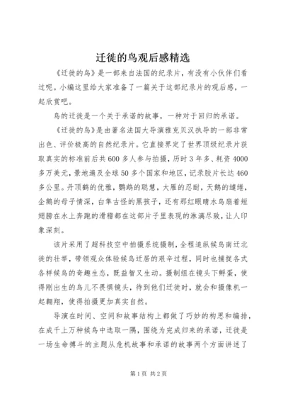 迁徙的鸟观后感精选.docx