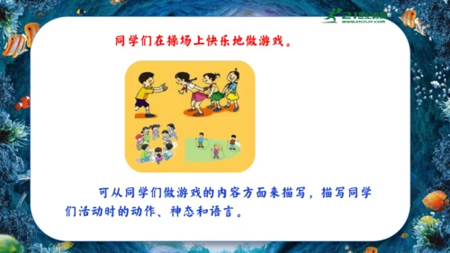18.富饶的西沙群岛  课件