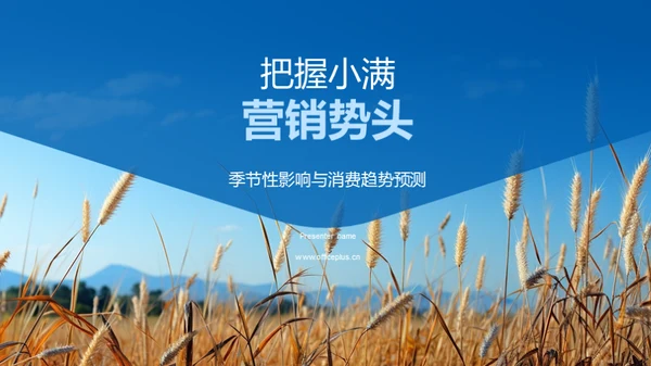 把握小满营销势头