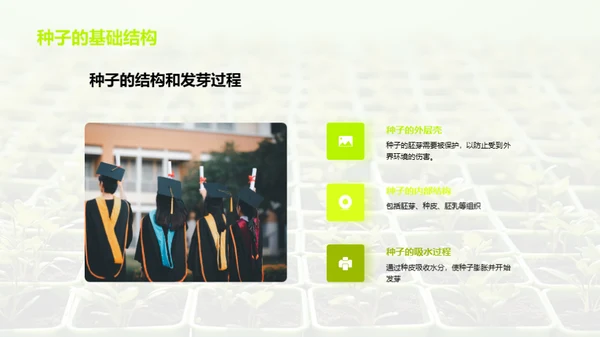 植物的奥秘世界