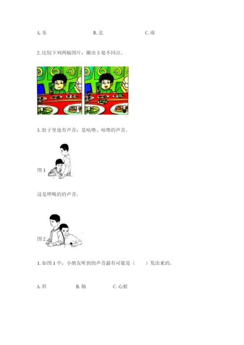 教科版二年级下册科学知识点期末测试卷【模拟题】.docx