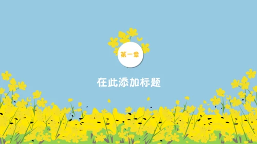 我们一起看油菜花幼儿教育通用PPT课件
