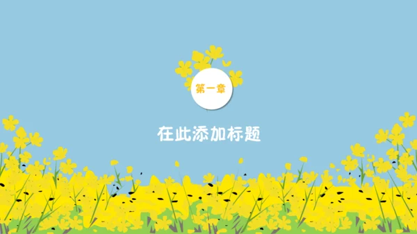 我们一起看油菜花幼儿教育通用PPT课件