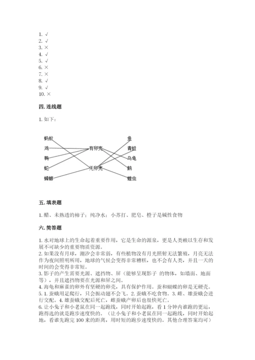 教科版小学科学三年级下册 期末测试卷有完整答案.docx