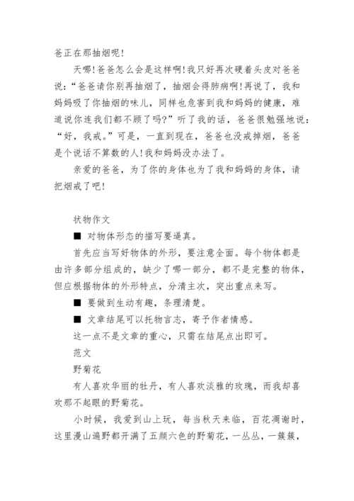 小升初语文作文技巧与满分范文.docx