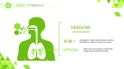 绿色智慧医疗信息化建设工作总结PPT