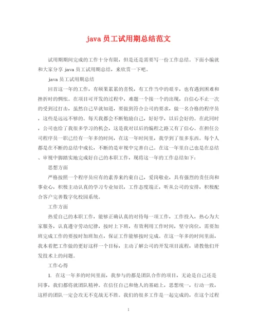 精编之java员工试用期总结范文.docx