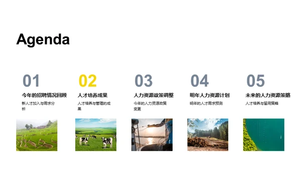 牧场人力资源综述