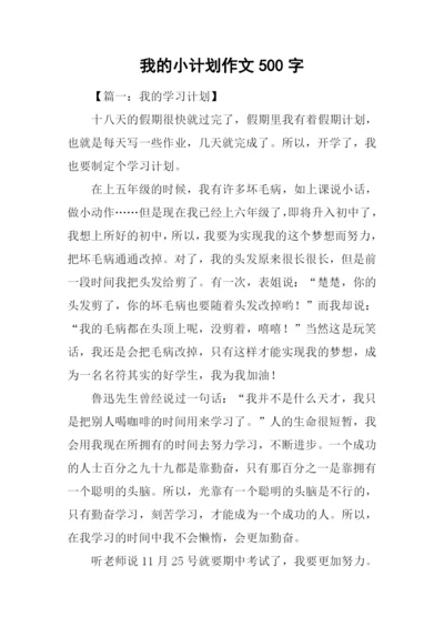 我的小计划作文500字.docx