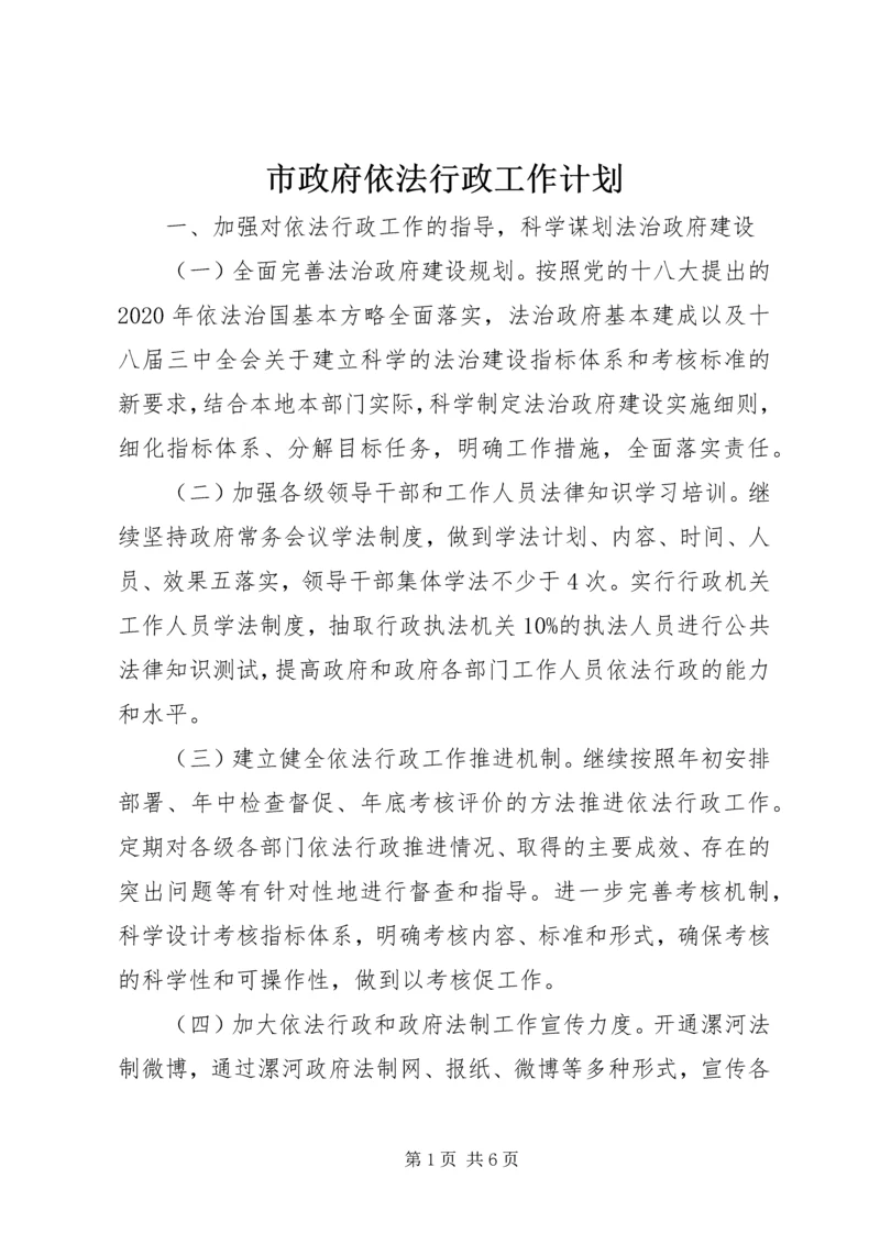 市政府依法行政工作计划 (2).docx