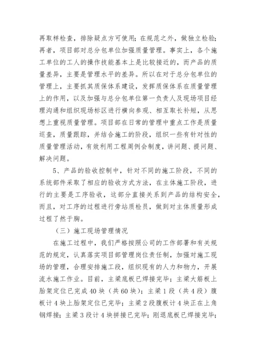 项目经理年度工作总结.docx