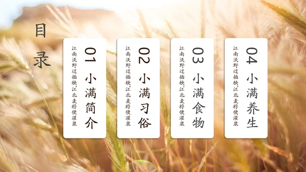 金色麦穗丰收的稻谷小满通用PPT模板