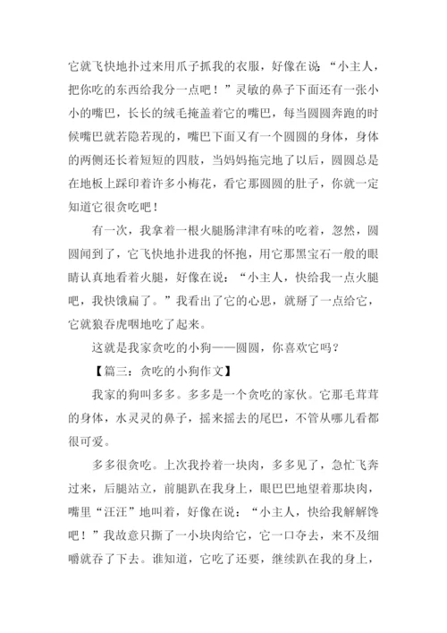 贪吃的小狗作文-2.docx