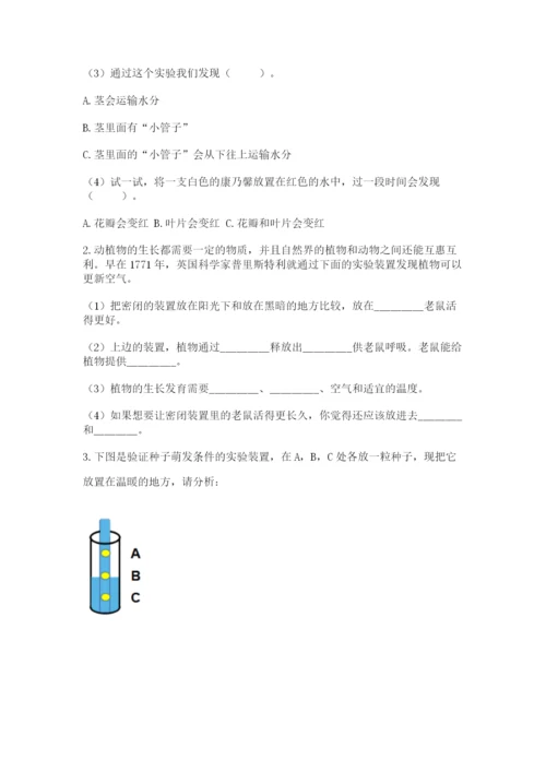 科学四年级下册第一单元植物的生长变化测试卷（模拟题）.docx