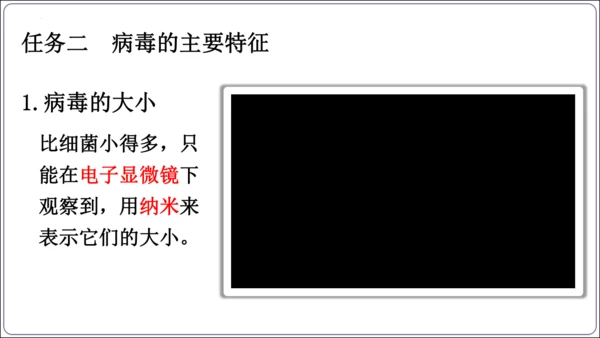 5.5第五章 病毒【2024秋人教八上生物精彩课堂（课件内嵌视频）】(共28张PPT)