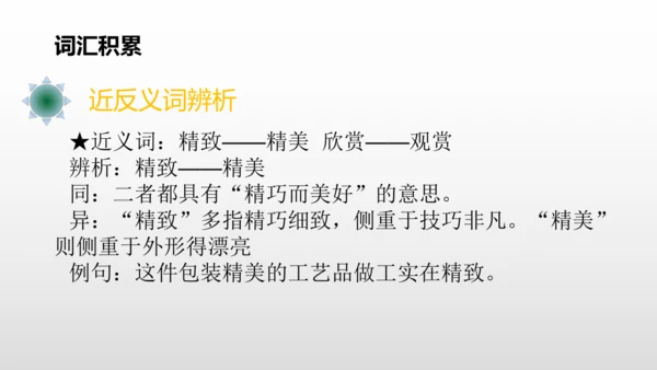 2美丽的鹿角  课件