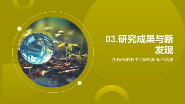 历史探秘之旅