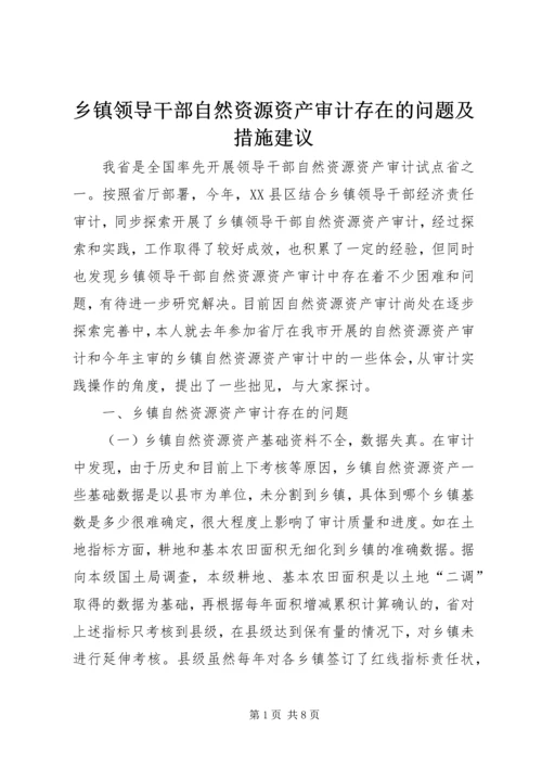 乡镇领导干部自然资源资产审计存在的问题及措施建议.docx