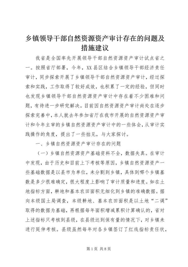 乡镇领导干部自然资源资产审计存在的问题及措施建议.docx