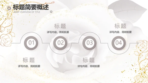 公司企业品牌化妆品介绍宣传PPT