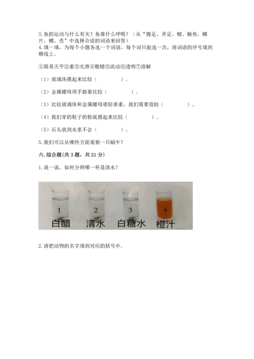 教科版一年级下册科学期末测试卷精品（b卷）.docx