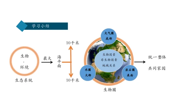 1.2.3 生物圈是最大的生态系统 课件（共28张PPT）