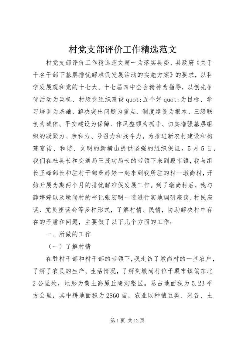 村党支部评价工作精选范文.docx