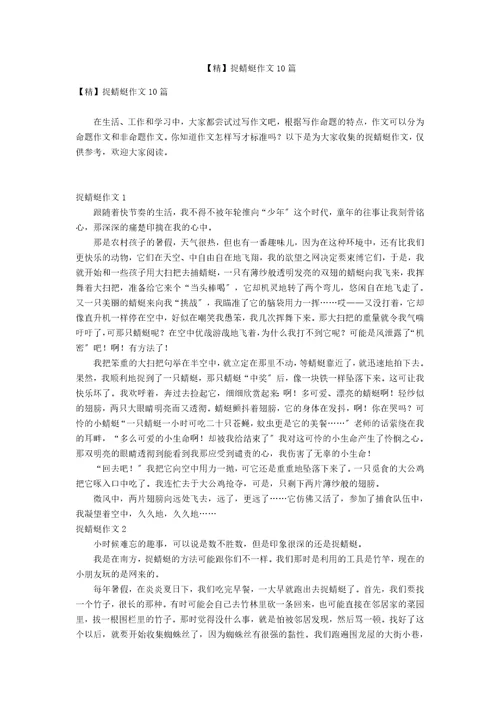 精捉蜻蜓作文10篇