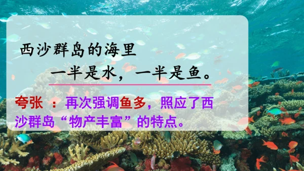 18.富饶的西沙群岛   课件