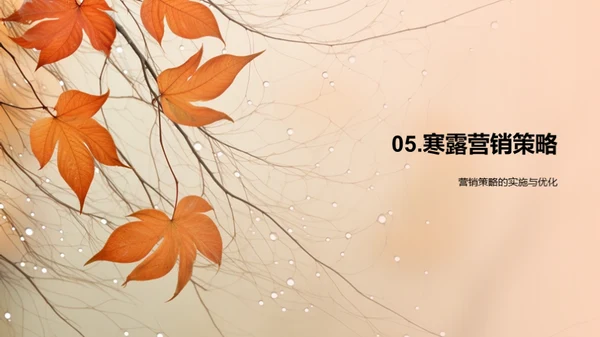 寒露营销策略