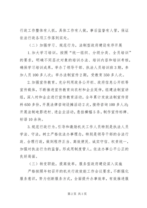 乡镇政府依法行政工作总结.docx