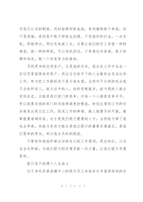 银行客户经理个人总结.docx