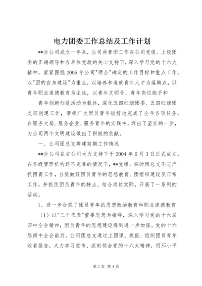 电力团委工作总结及工作计划 (9).docx