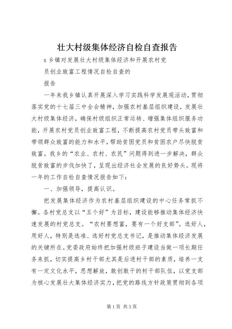 壮大村级集体经济自检自查报告.docx