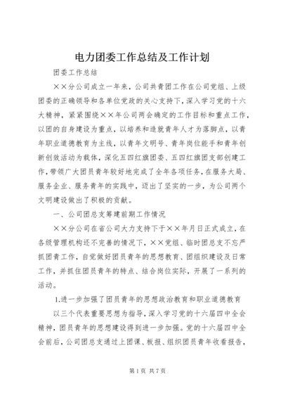 电力团委工作总结及工作计划.docx