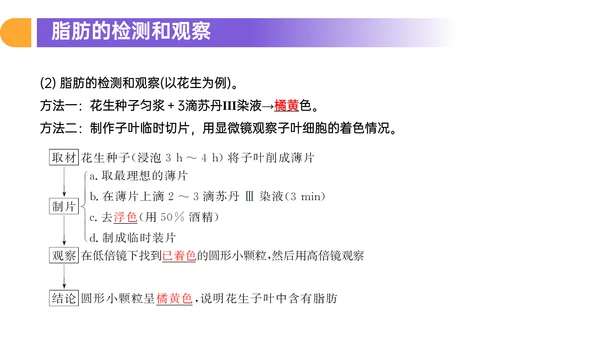 人教版高中生物细胞元素化合物PPT课件