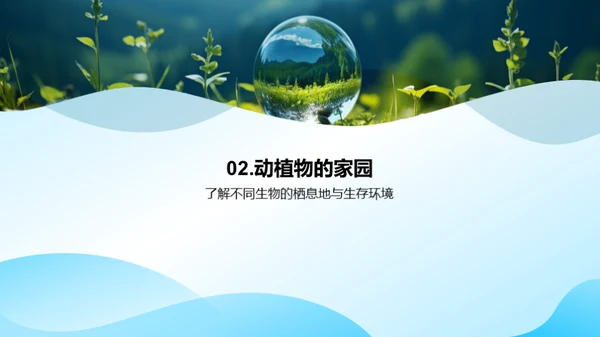 探秘生态环境