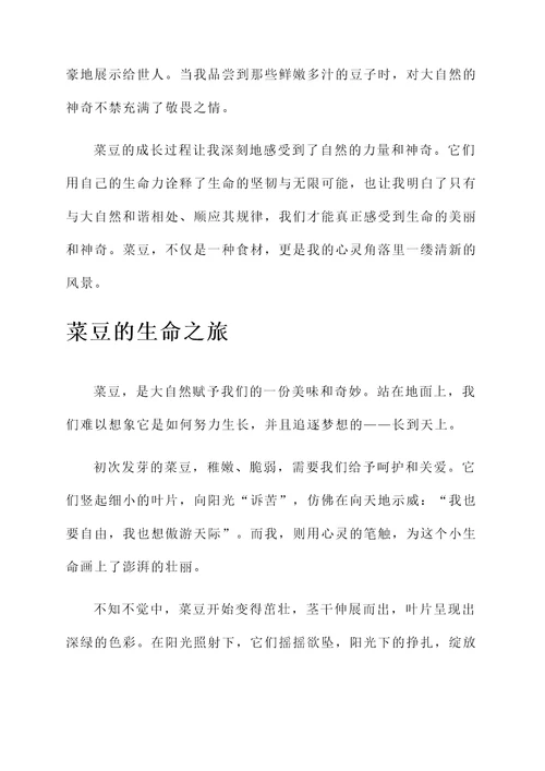 长到天上的菜豆的感想