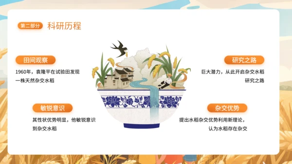 橙色插画风杂交水稻之父袁隆平PPT