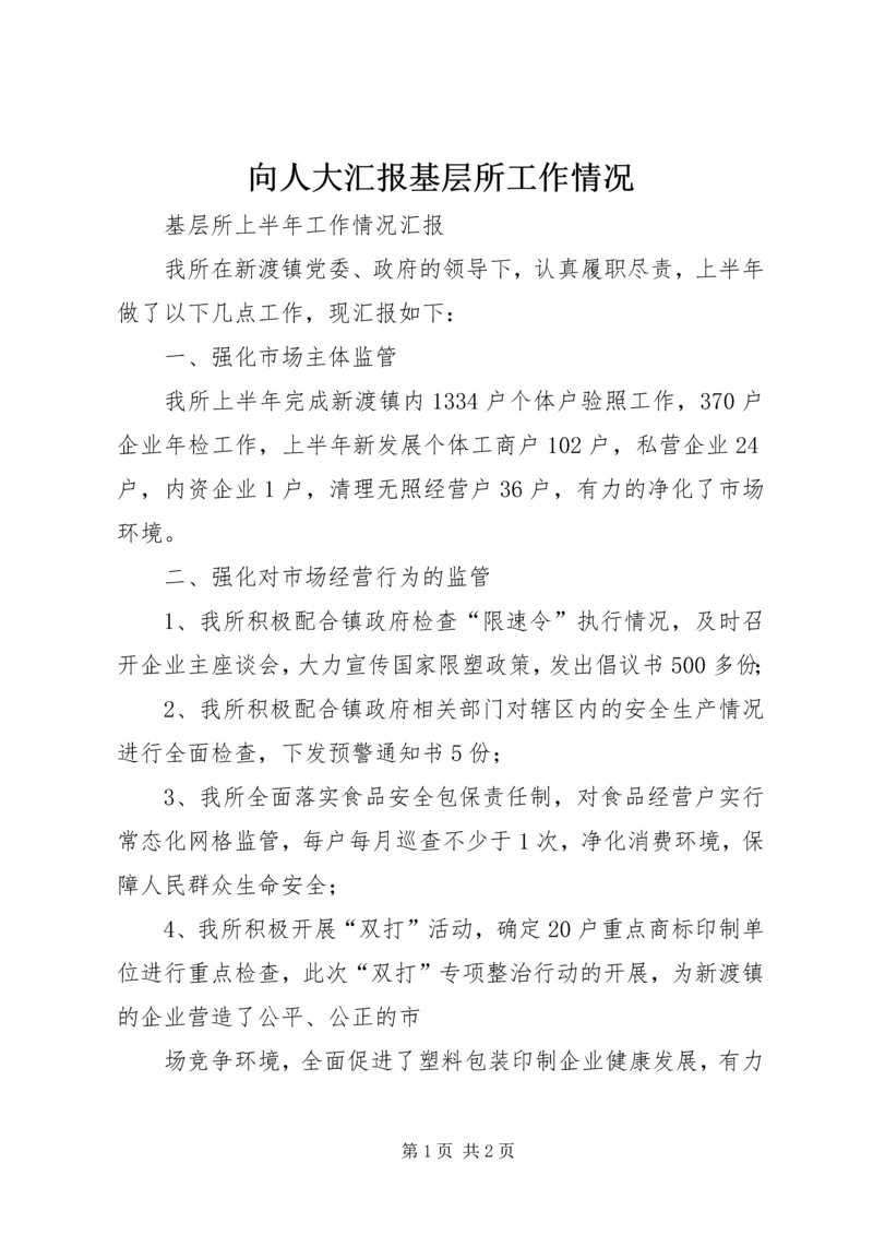 向人大汇报基层所工作情况 (2).docx