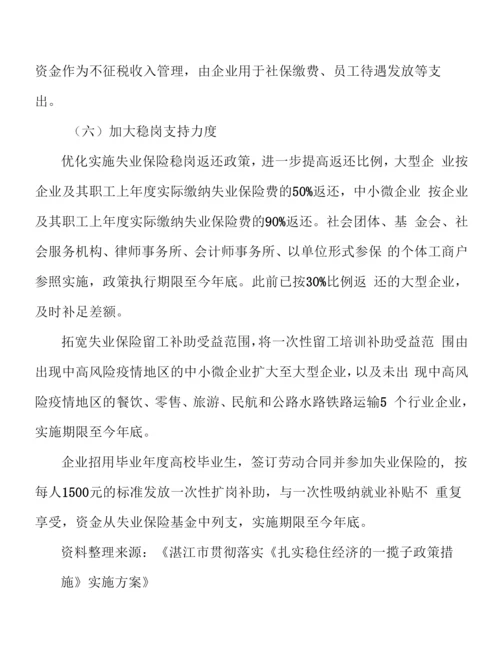 加强扎实稳住经济指导协调行动计划.docx