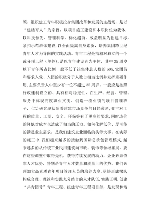 创建青年工程培养青年人才的研究.docx