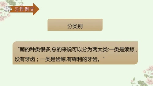 第五单元习作例文鲸