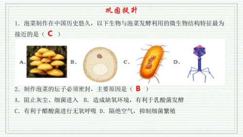 综合实践项目二  利用细菌或真菌制作发酵食品（课件）-【新教材】七年级生物上学期同步课件 （2024