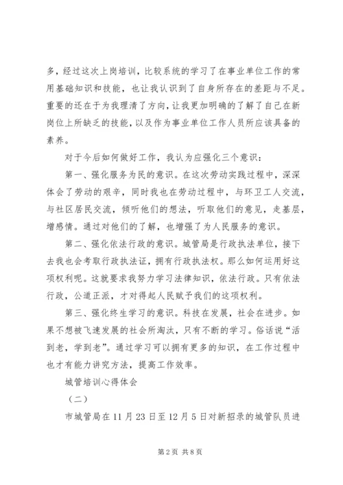 城管培训心得体会 (3).docx