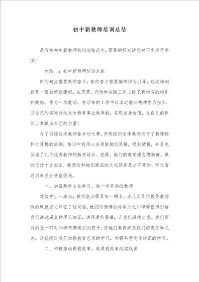 初中新老师培训总结